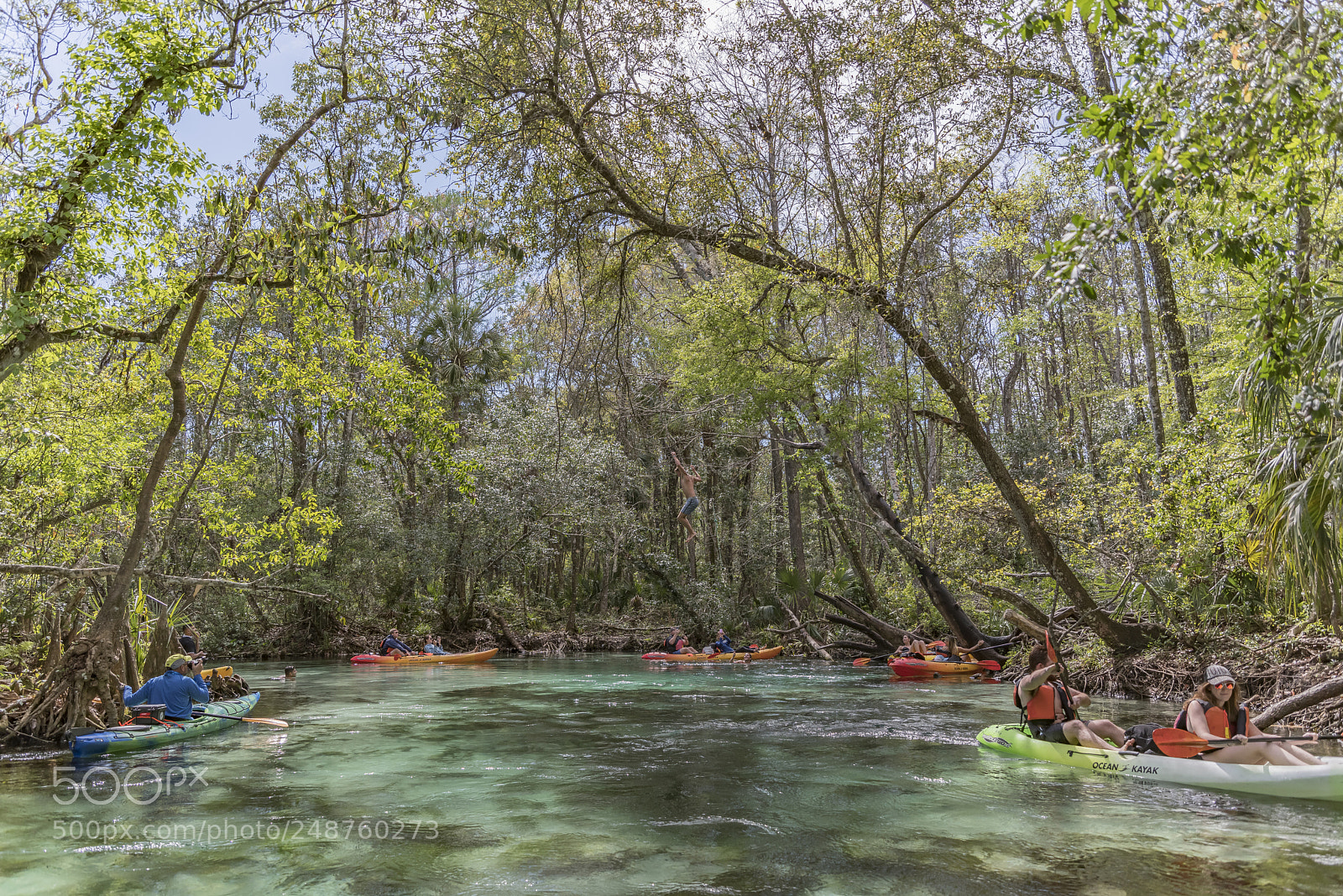 Pentax K-1 sample photo. Weeki wachee river...... photography
