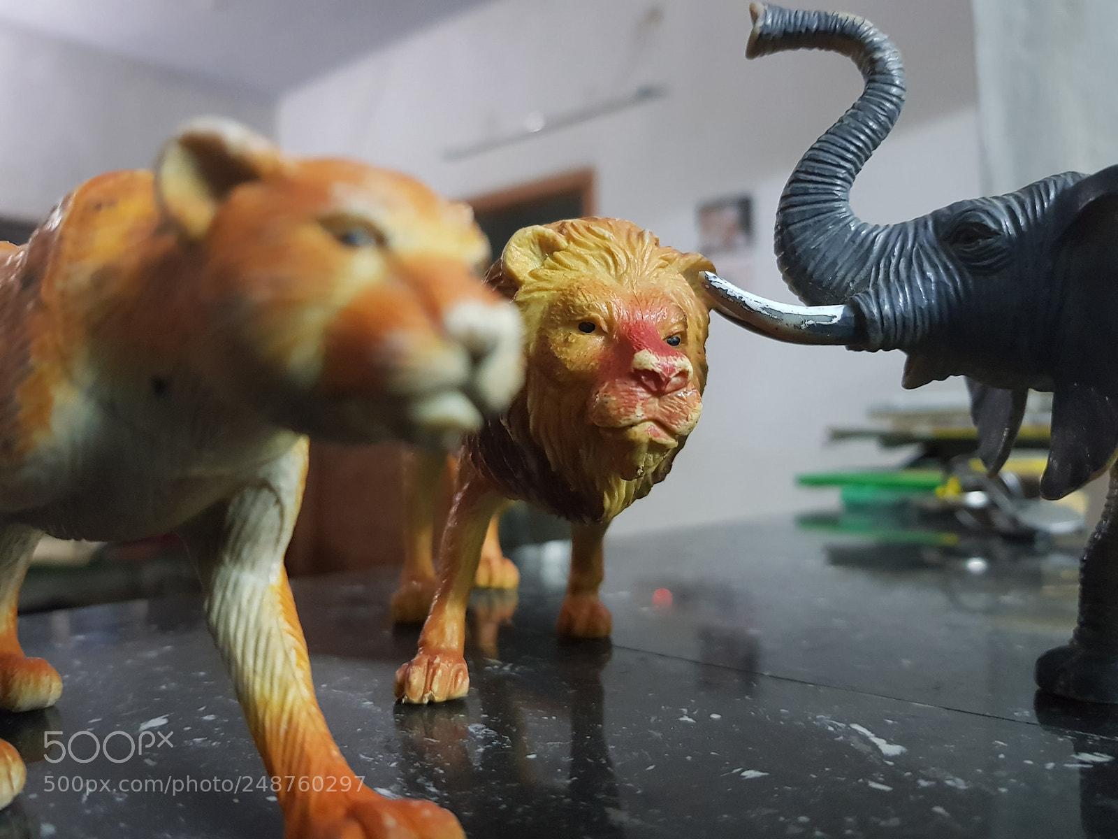 Samsung Galaxy S8 sample photo. Untitled photography