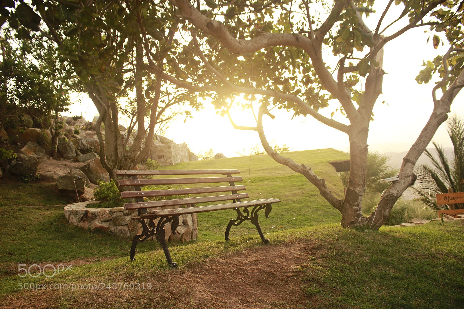 Canon EOS 600D (Rebel EOS T3i / EOS Kiss X5) sample photo. Contemplationseat photography
