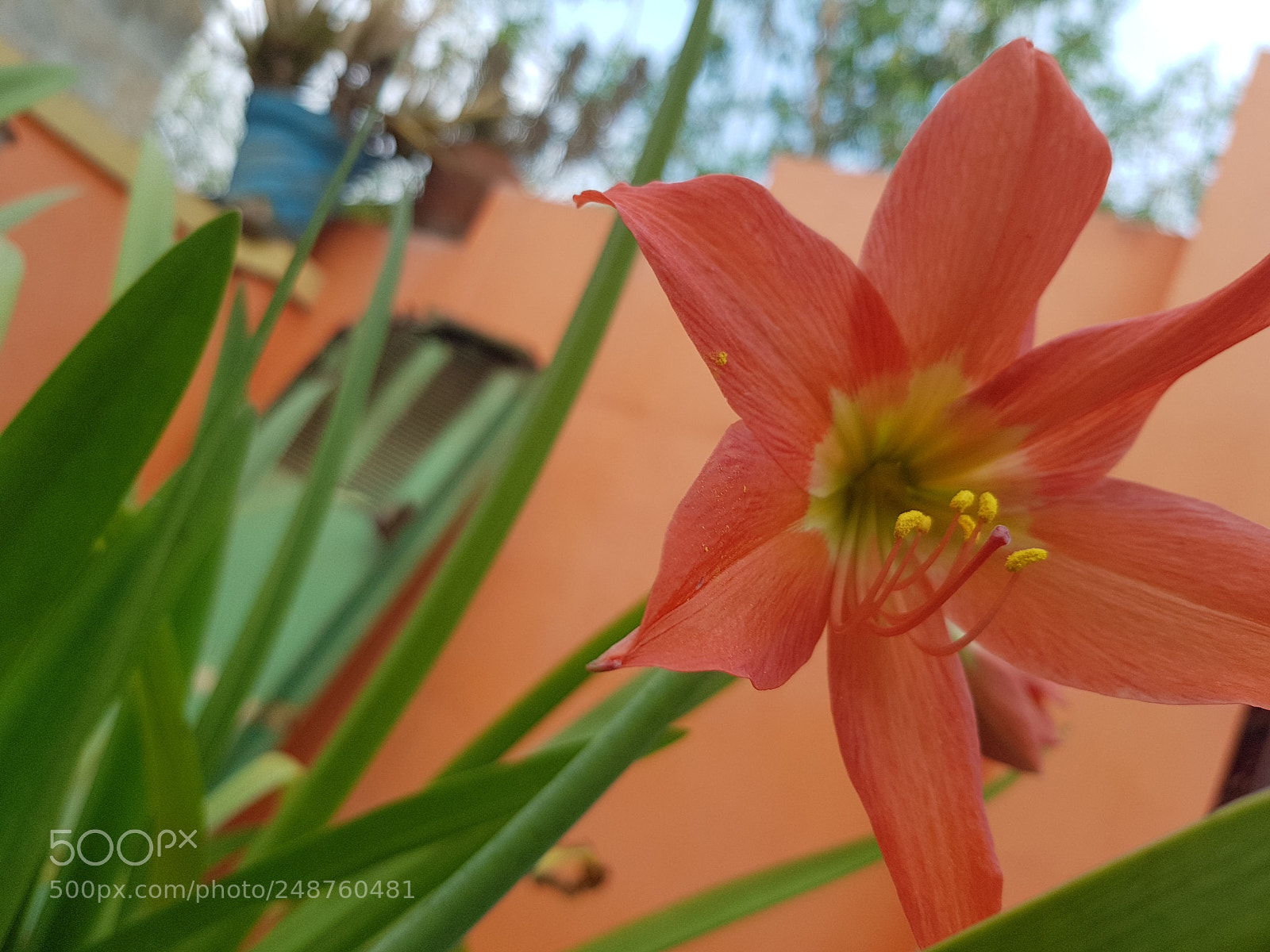 Samsung Galaxy S8 sample photo. Untitled photography