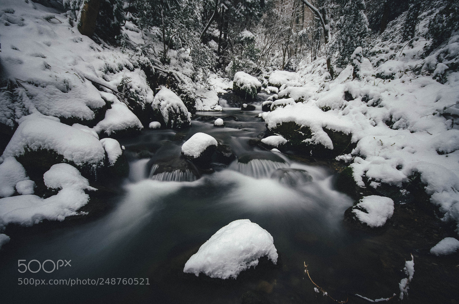 Nikon D5100 sample photo. Invierno en el rio photography