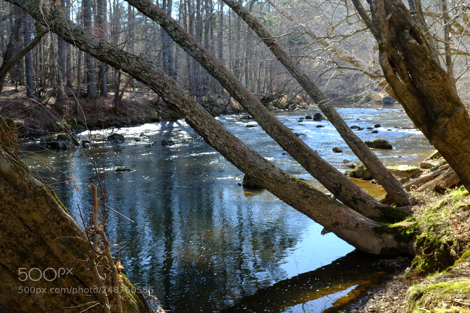 Fujifilm X100S sample photo. Eno river state park photography