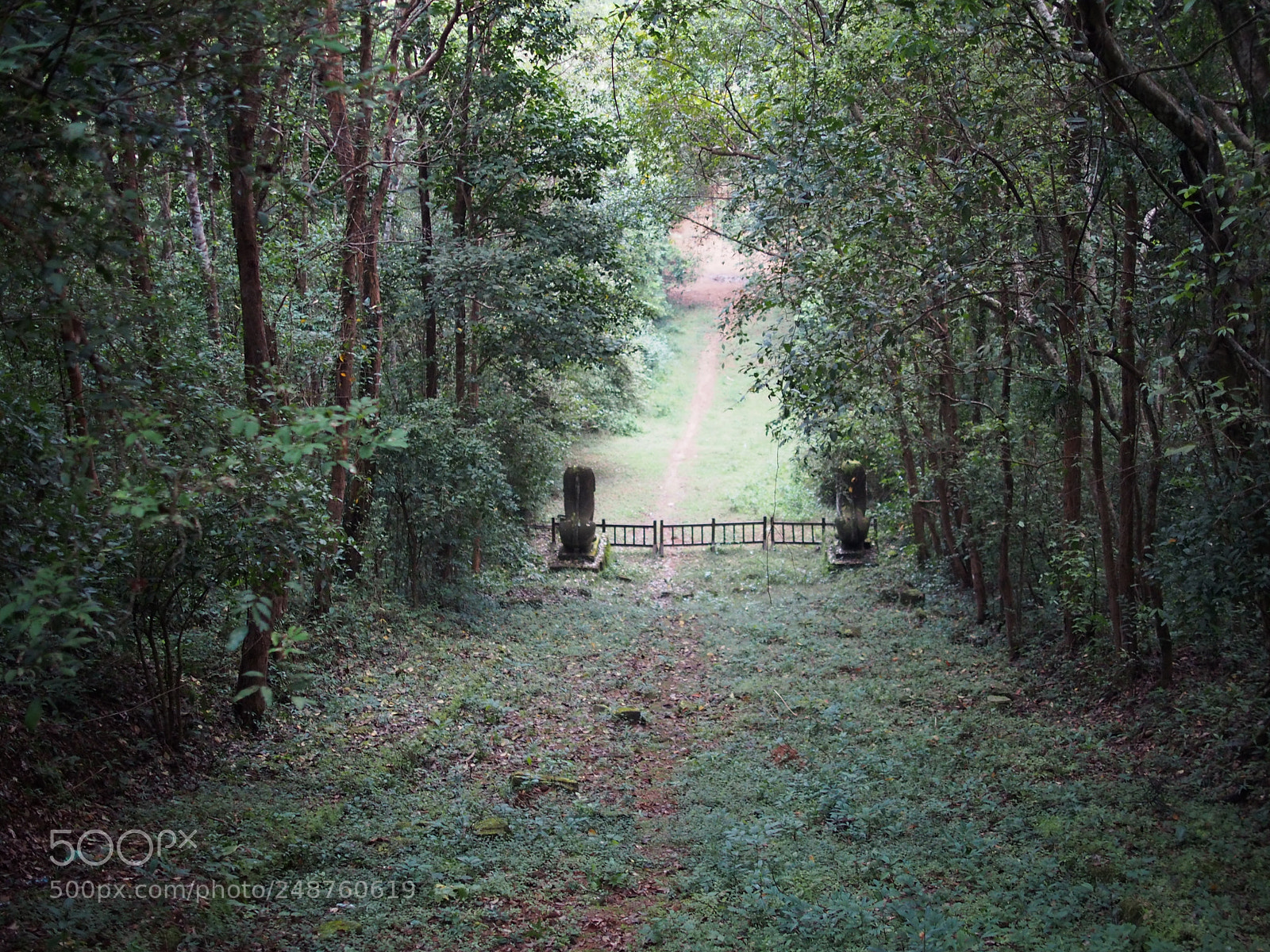Olympus PEN E-PL5 sample photo. Path less traveled, siem photography