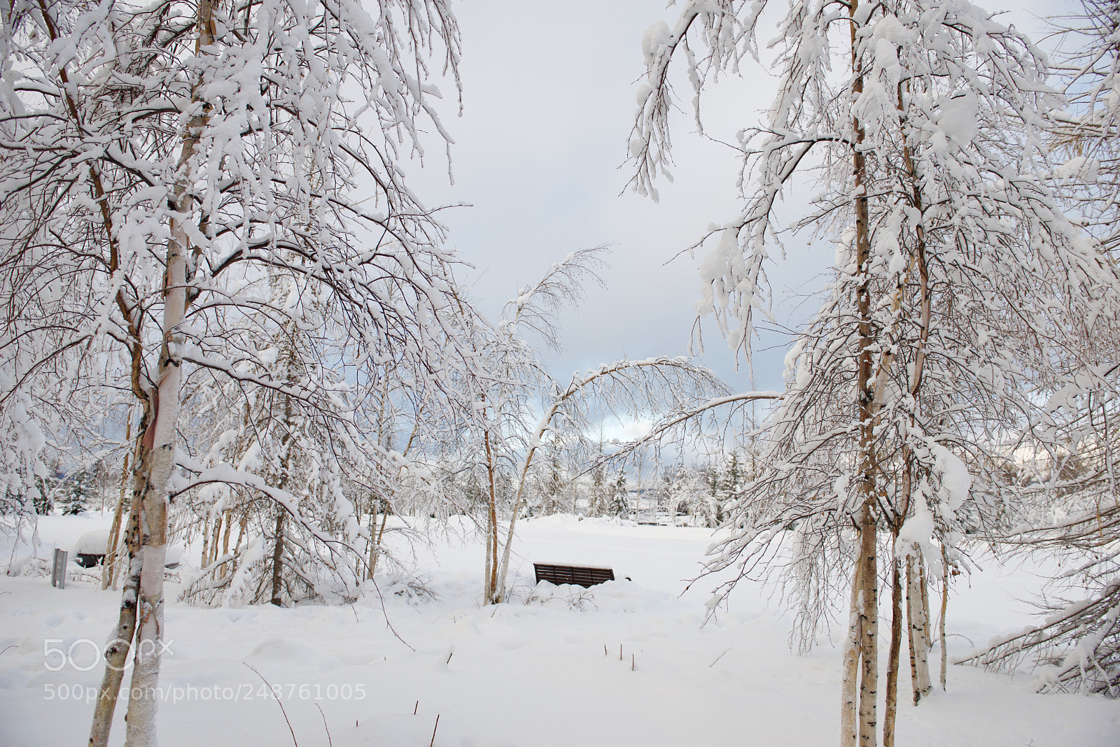 Nikon D800 sample photo. Fairbanks photography