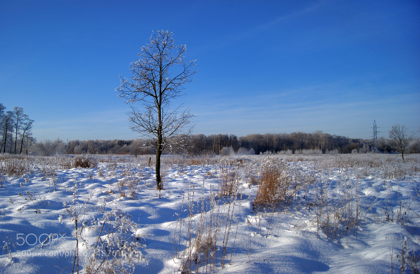 Sony Alpha DSLR-A290 sample photo. Landscape of the moscow photography