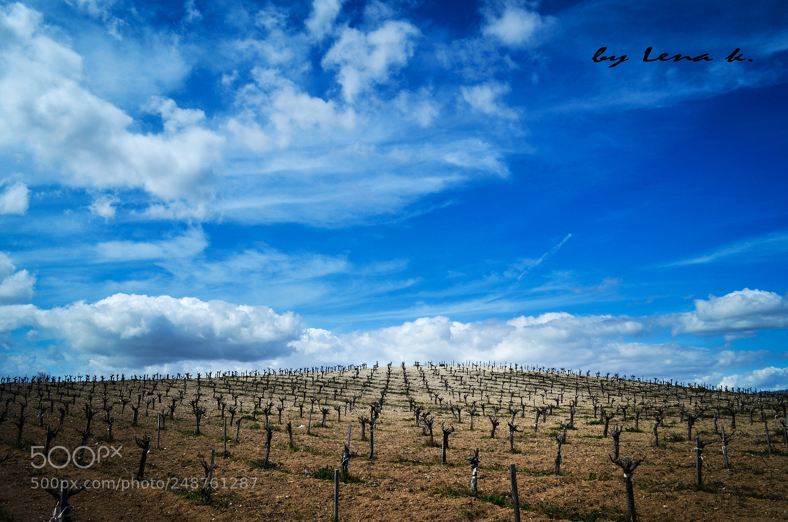 Nikon D5100 sample photo. Horizons photography