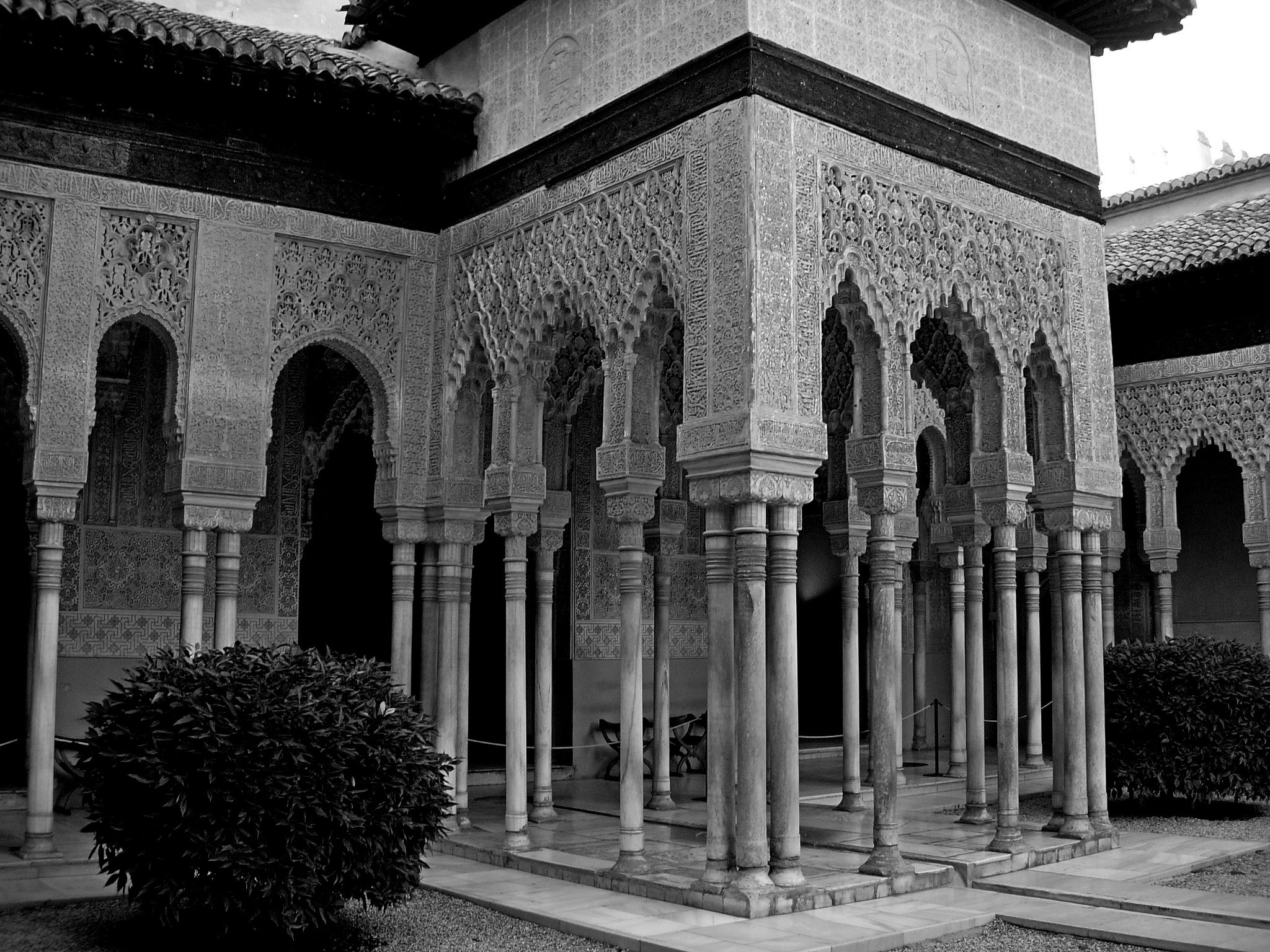 Nikon E5200 sample photo. Granada alhambra patio de los leonesjpg photography