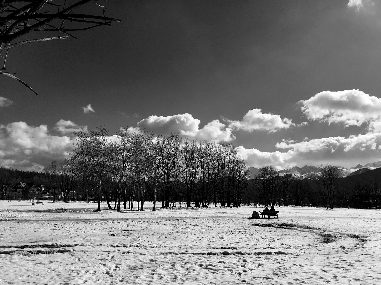 Apple iPhone SE sample photo. Winter sun photography