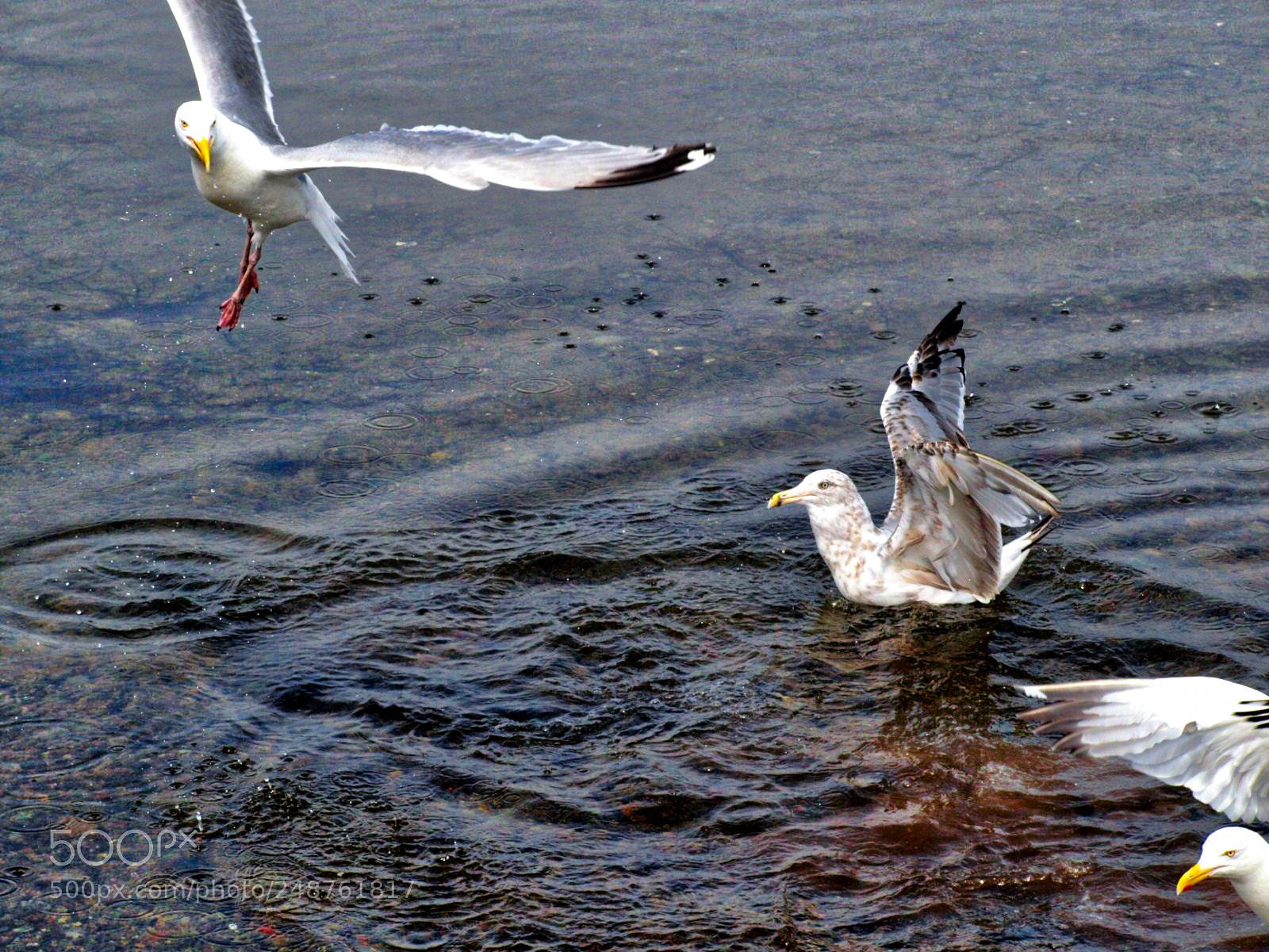 Olympus E-520 (EVOLT E-520) sample photo. This is gabarus by photography