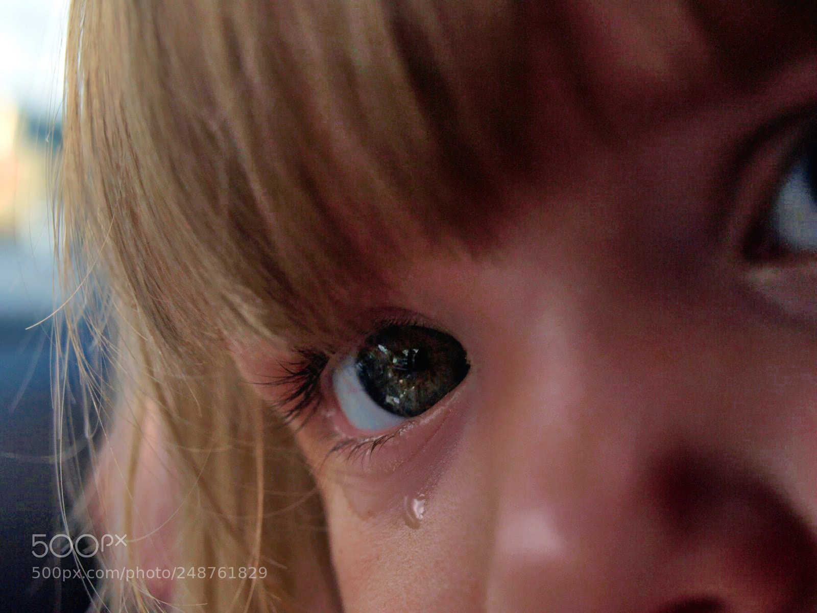 Olympus E-520 (EVOLT E-520) sample photo. This is gabarus by photography