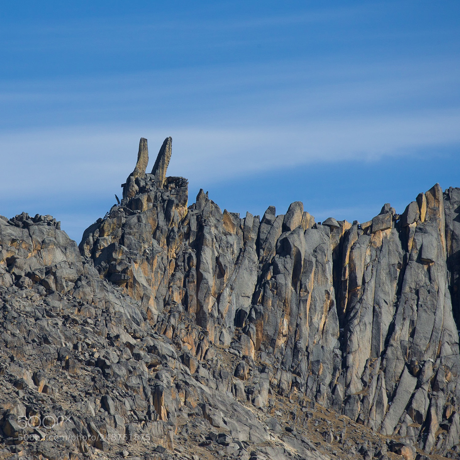 Canon EOS-1D X sample photo. Mount rabbit photography