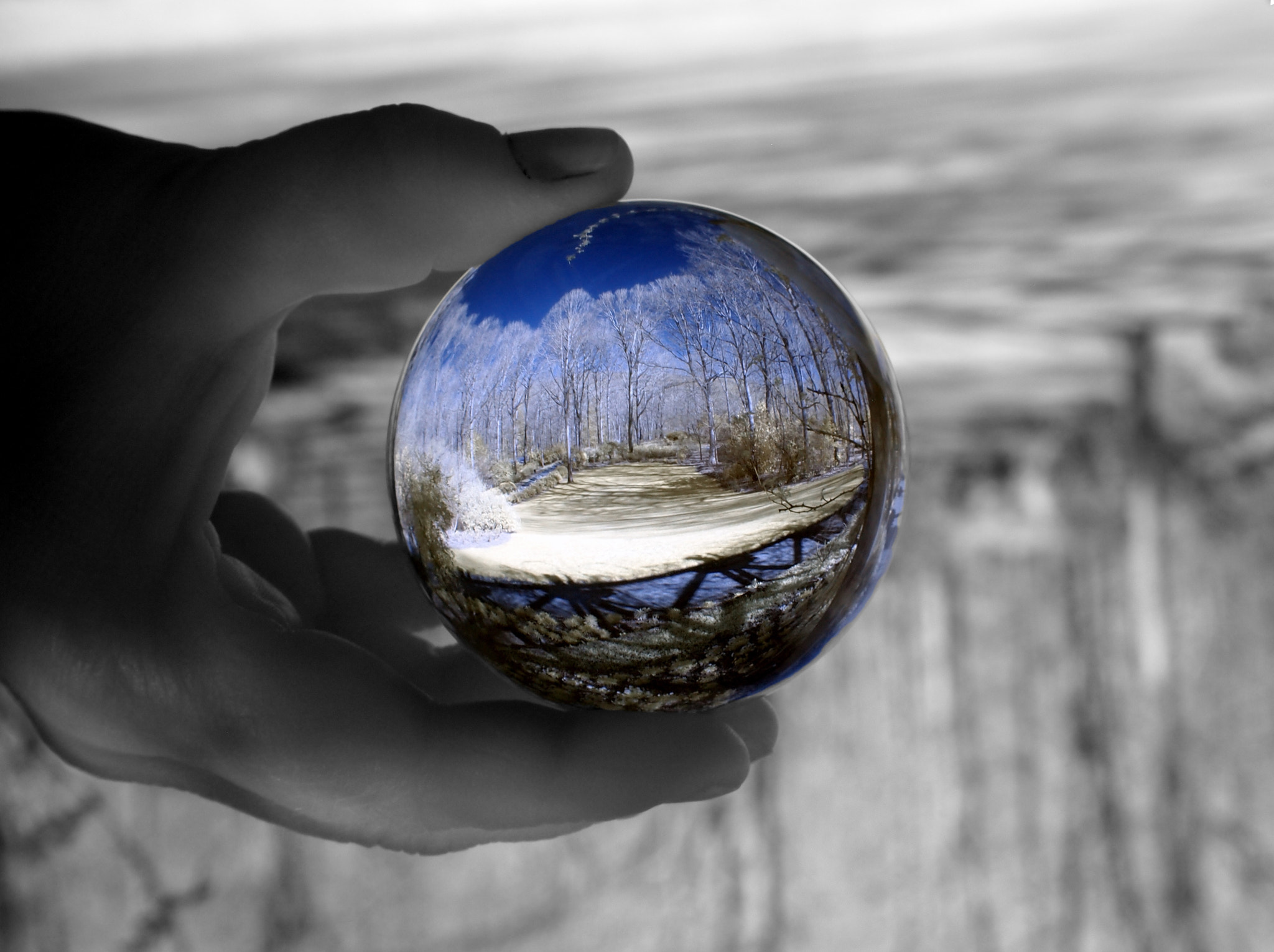 Olympus PEN E-PL2 sample photo. Gibbs gardens infrared lensball. photography