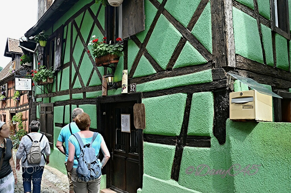 Nikon D5100 sample photo. Alsace (7) photography