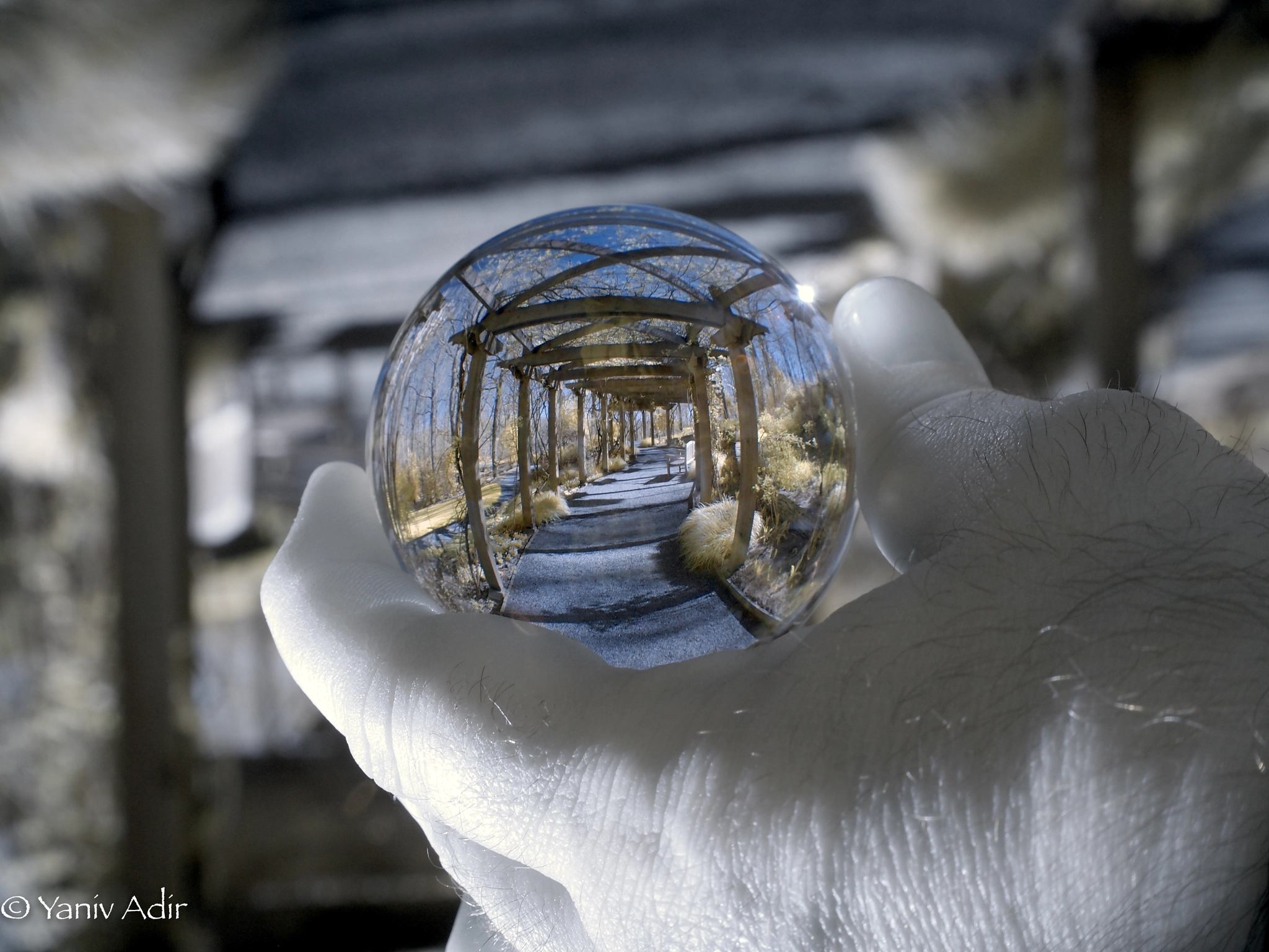 Olympus PEN E-PL2 sample photo. Gibbs gardens infrared lensball. photography