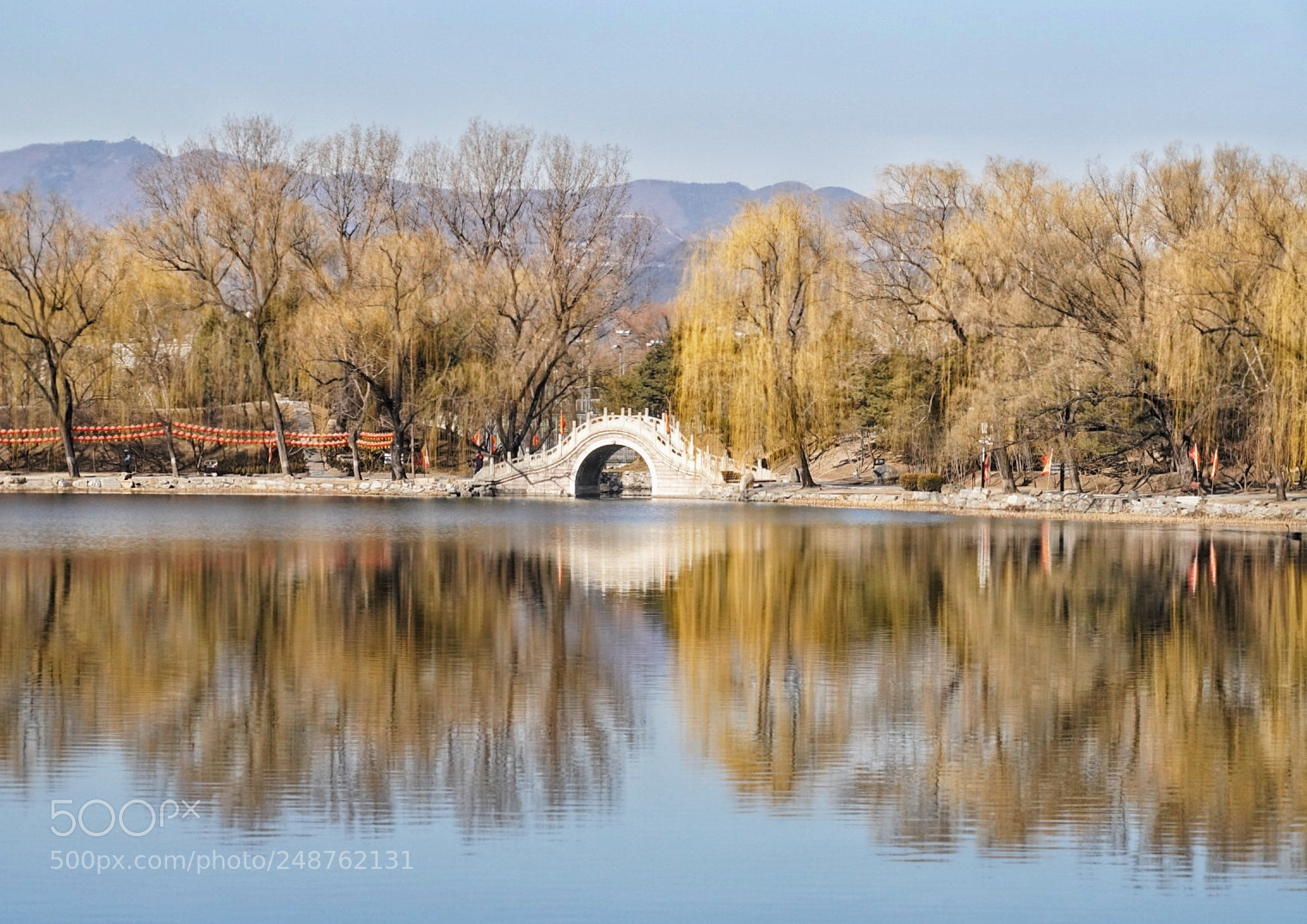Sony a7R III sample photo. Untitled photography