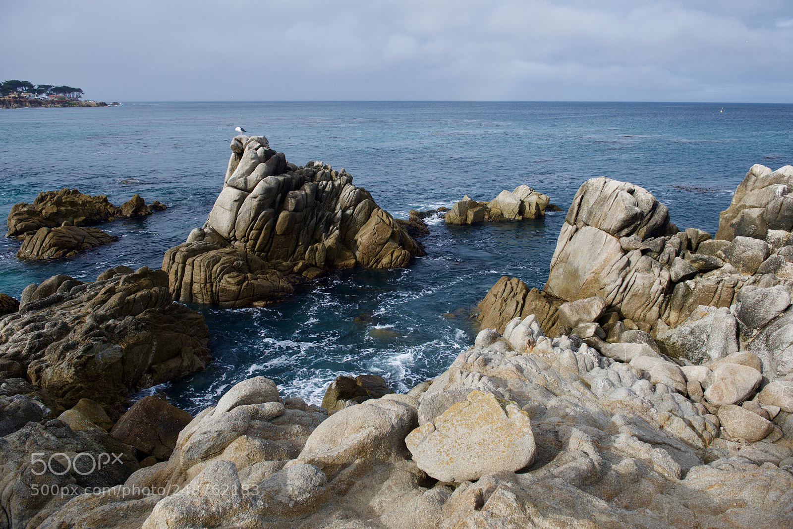Nikon D800 sample photo. California road 1 photography