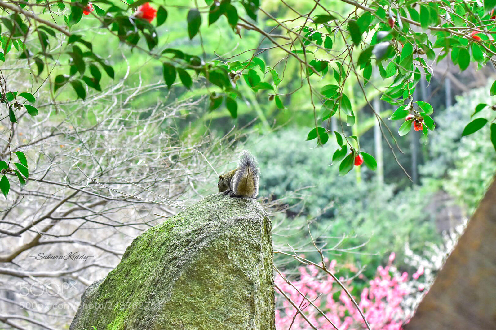 Nikon D5500 sample photo. Untitled photography