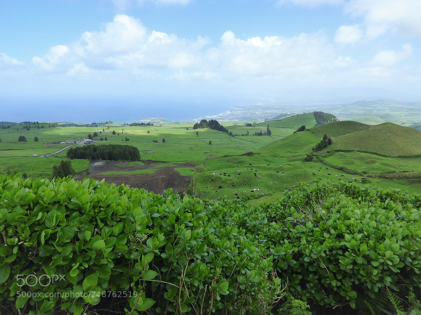 Panasonic DMC-FZ72 sample photo. Nature of sao miguel photography