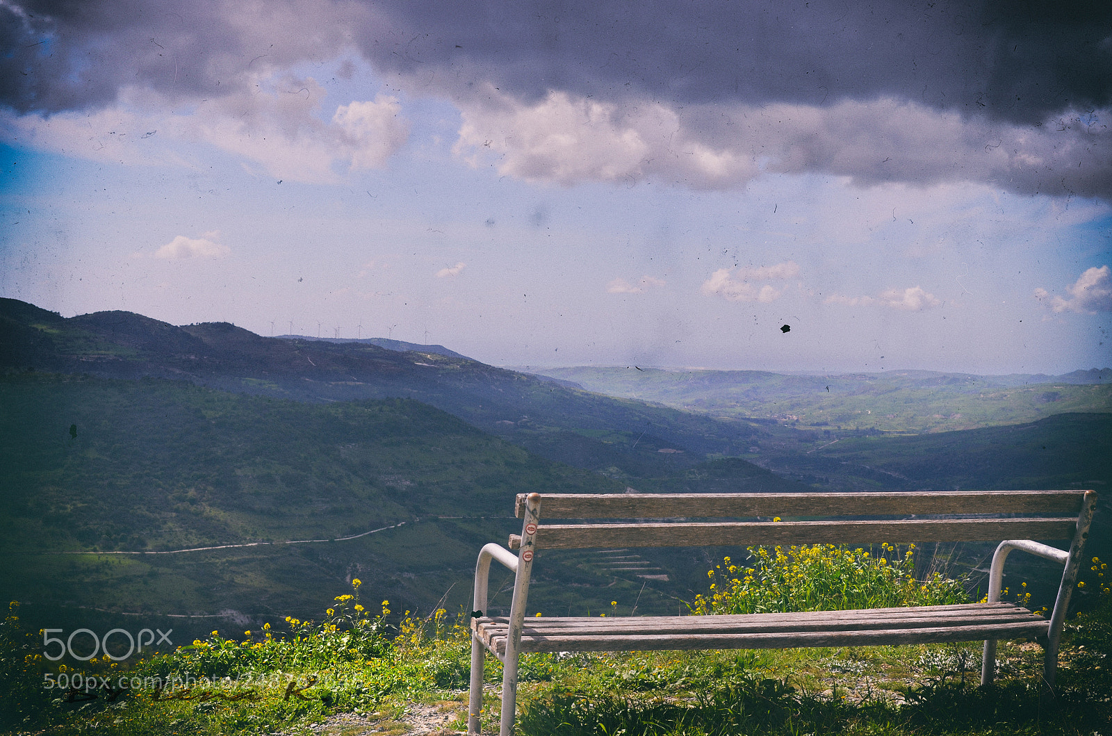 Nikon D5100 sample photo. Alone photography