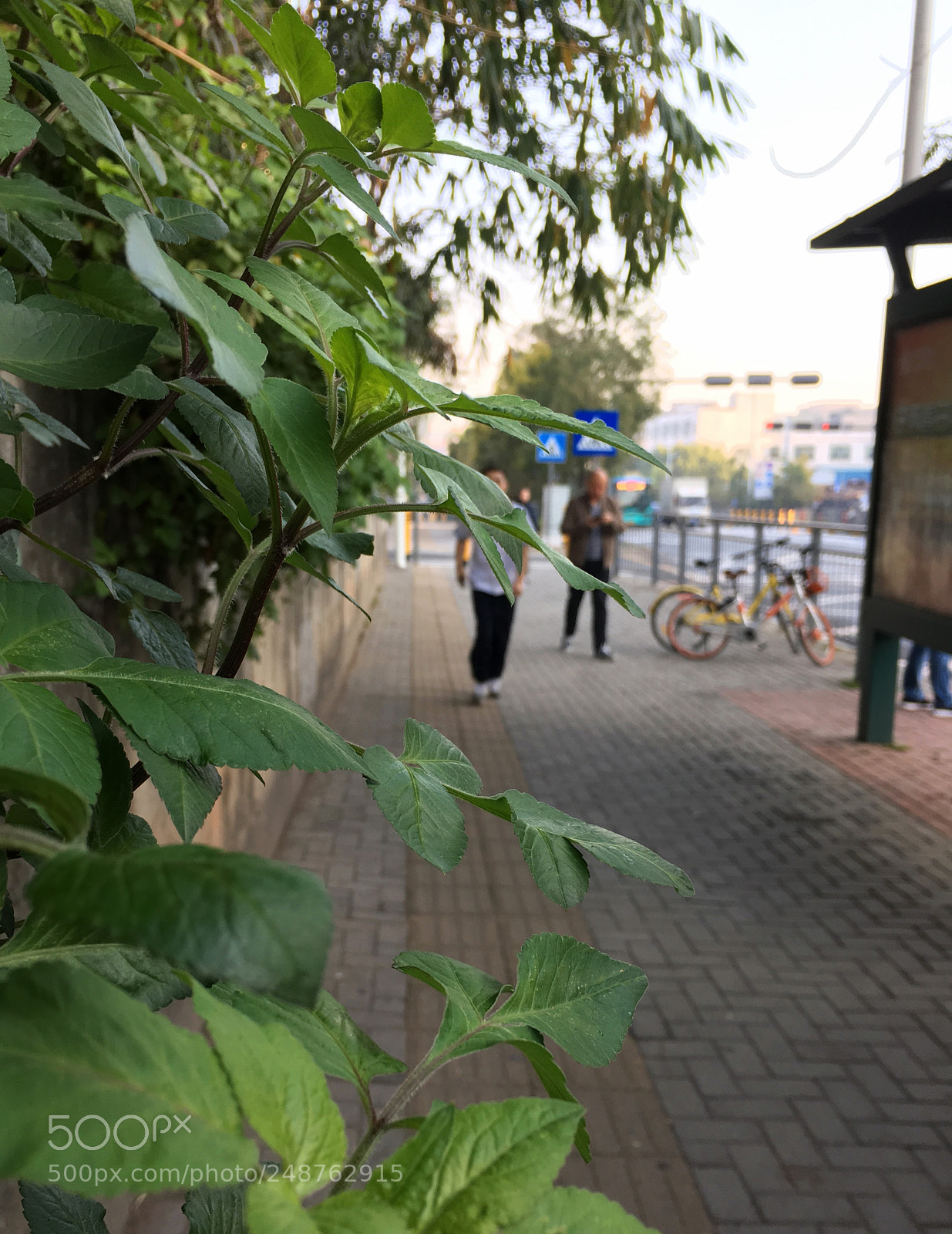 Apple iPhone 6s sample photo. 清晨赶路 photography