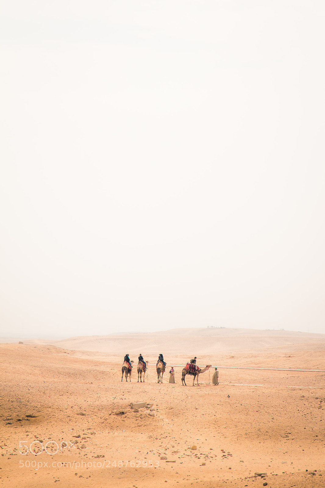 Canon EOS 60D sample photo. Desert plains photography
