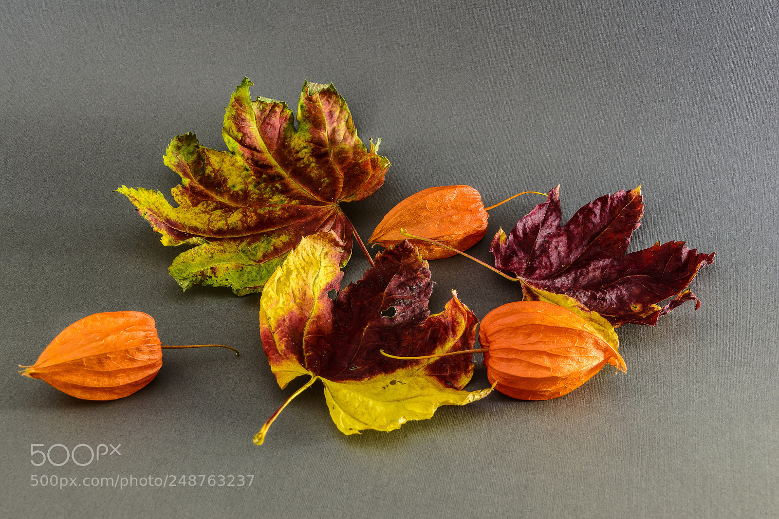 Nikon D7100 sample photo. Fall sill life on photography