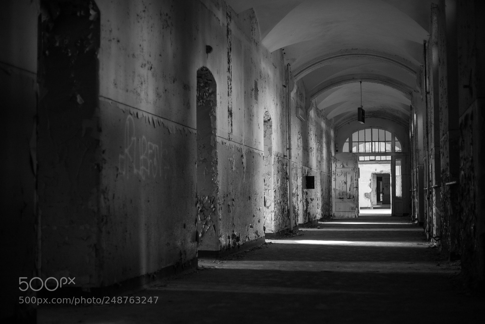 Canon EOS 6D Mark II sample photo. Untitled photography