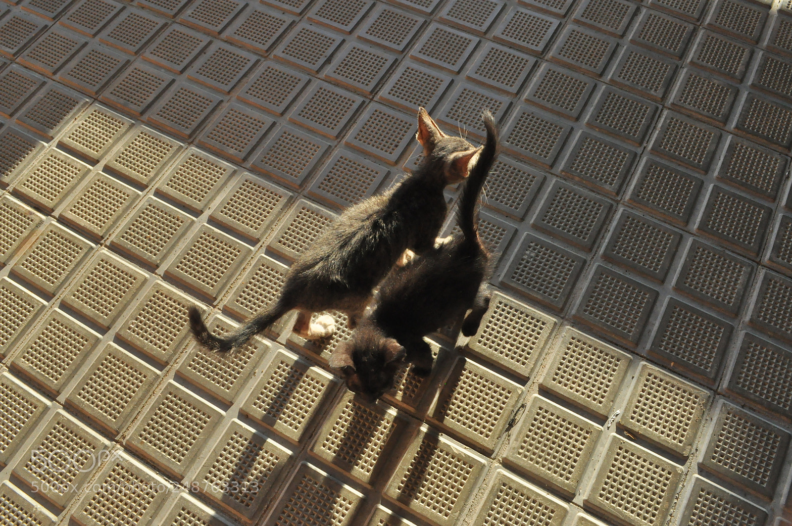 Nikon D5000 sample photo. En la calle... photography
