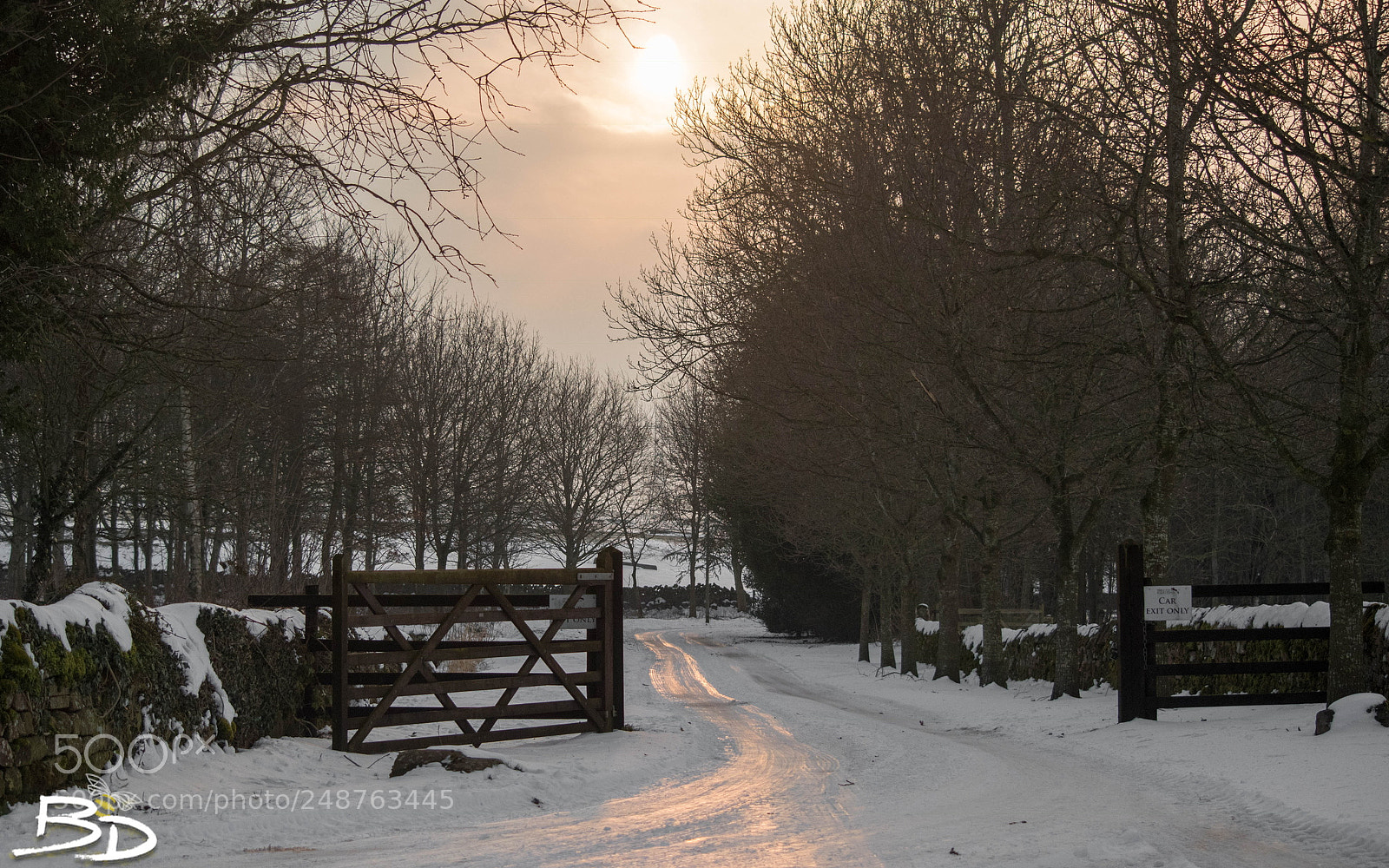 Nikon D5600 sample photo. Sunset on snow photography