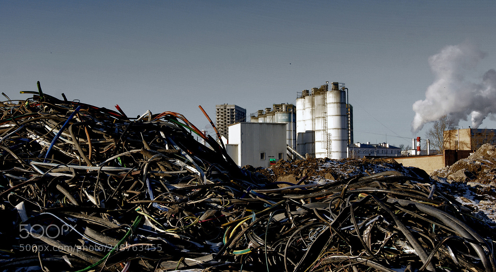 Sony Alpha DSLR-A290 sample photo. Zil plant photography