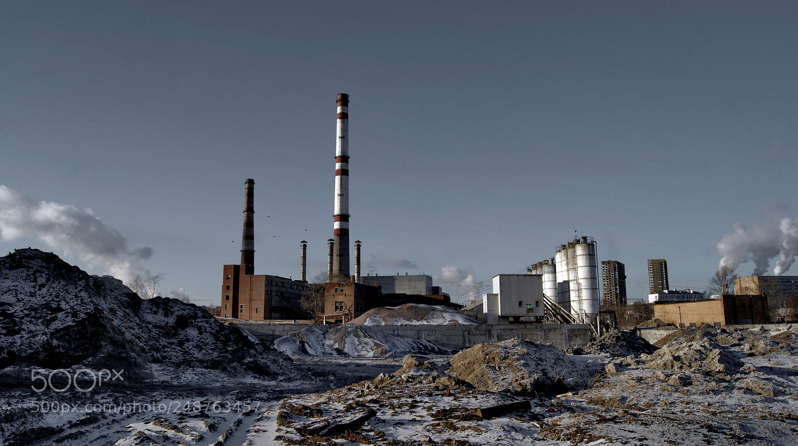 Sony Alpha DSLR-A290 sample photo. Zil plant photography