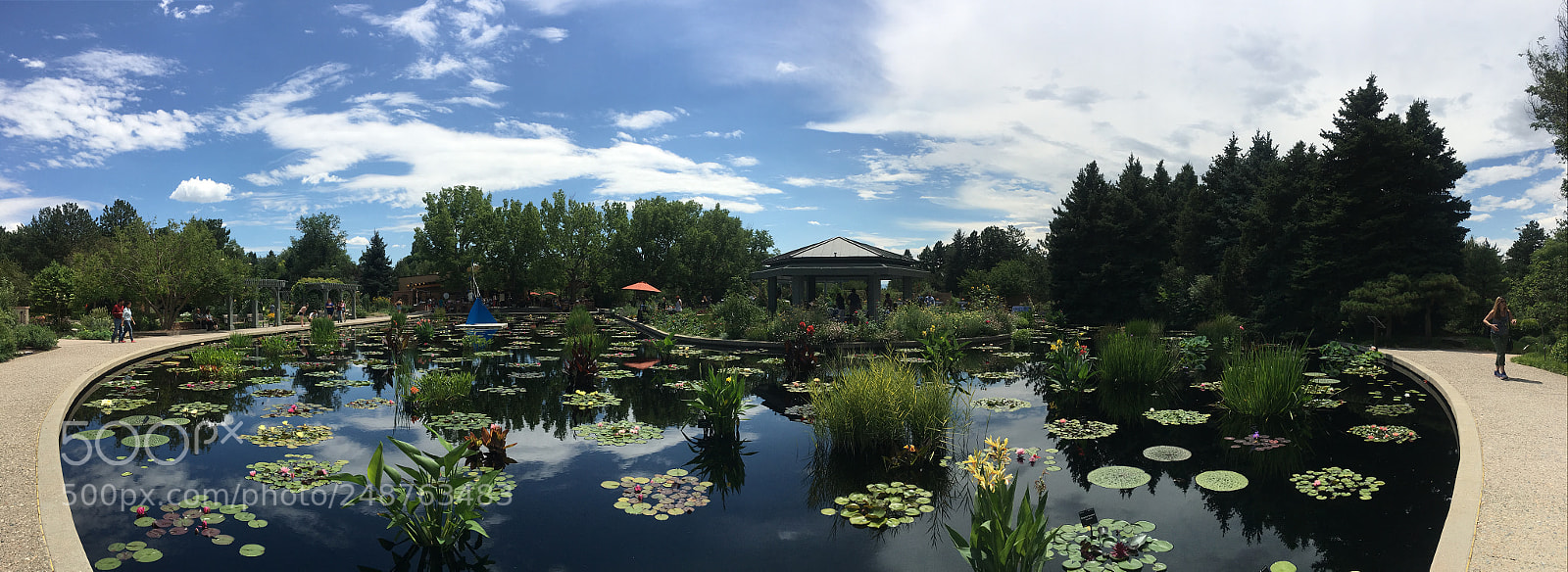 Apple iPhone 6s Plus sample photo. Botanic garden photography