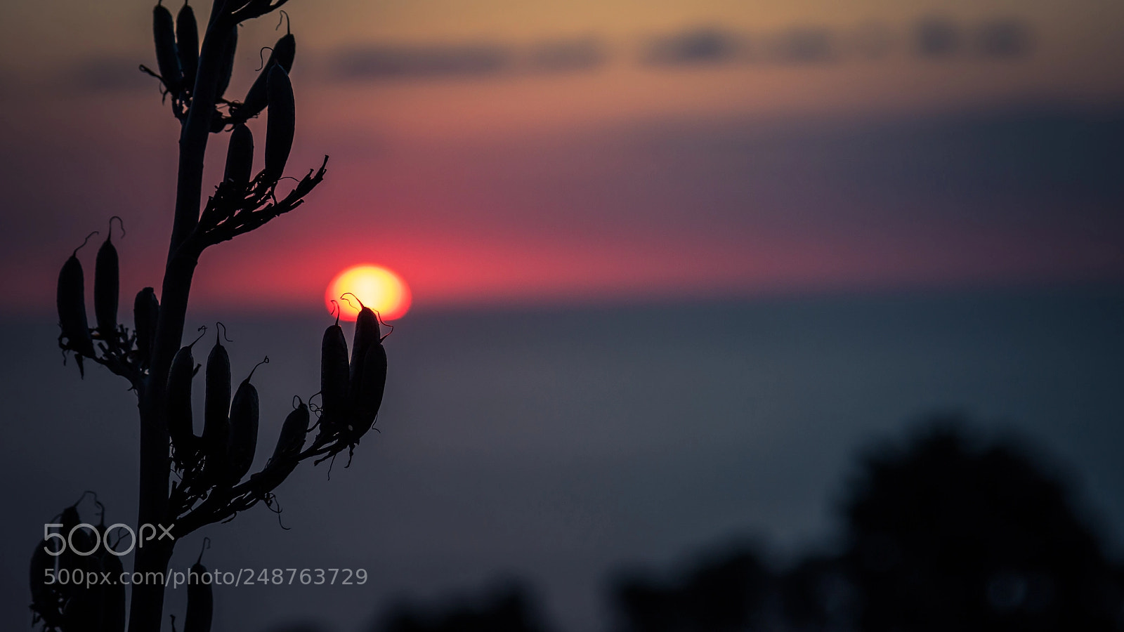 Canon EOS 7D Mark II sample photo. Sunset photography