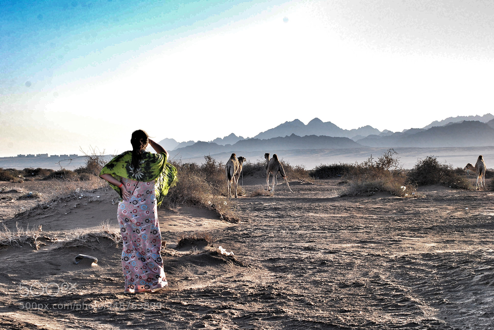 Nikon D60 sample photo. Desert photography