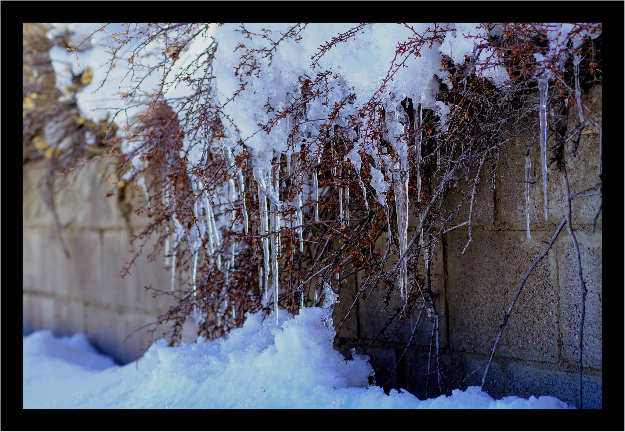 Canon EOS 7D + Canon EF 85mm F1.8 USM sample photo. Craters of the moon photo excursion photography