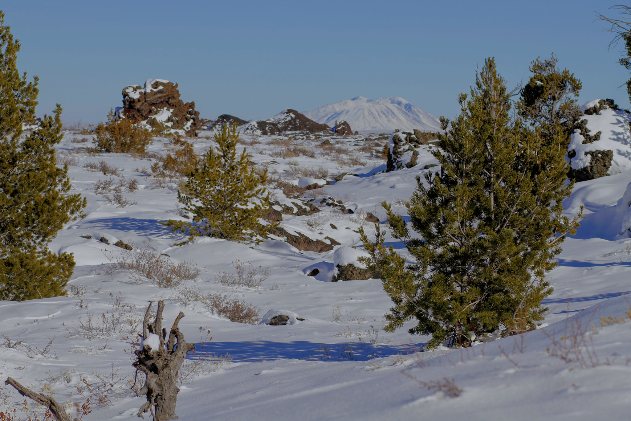 Canon EOS 7D + Canon EF 85mm F1.8 USM sample photo. Craters of the moon photo excursion photography