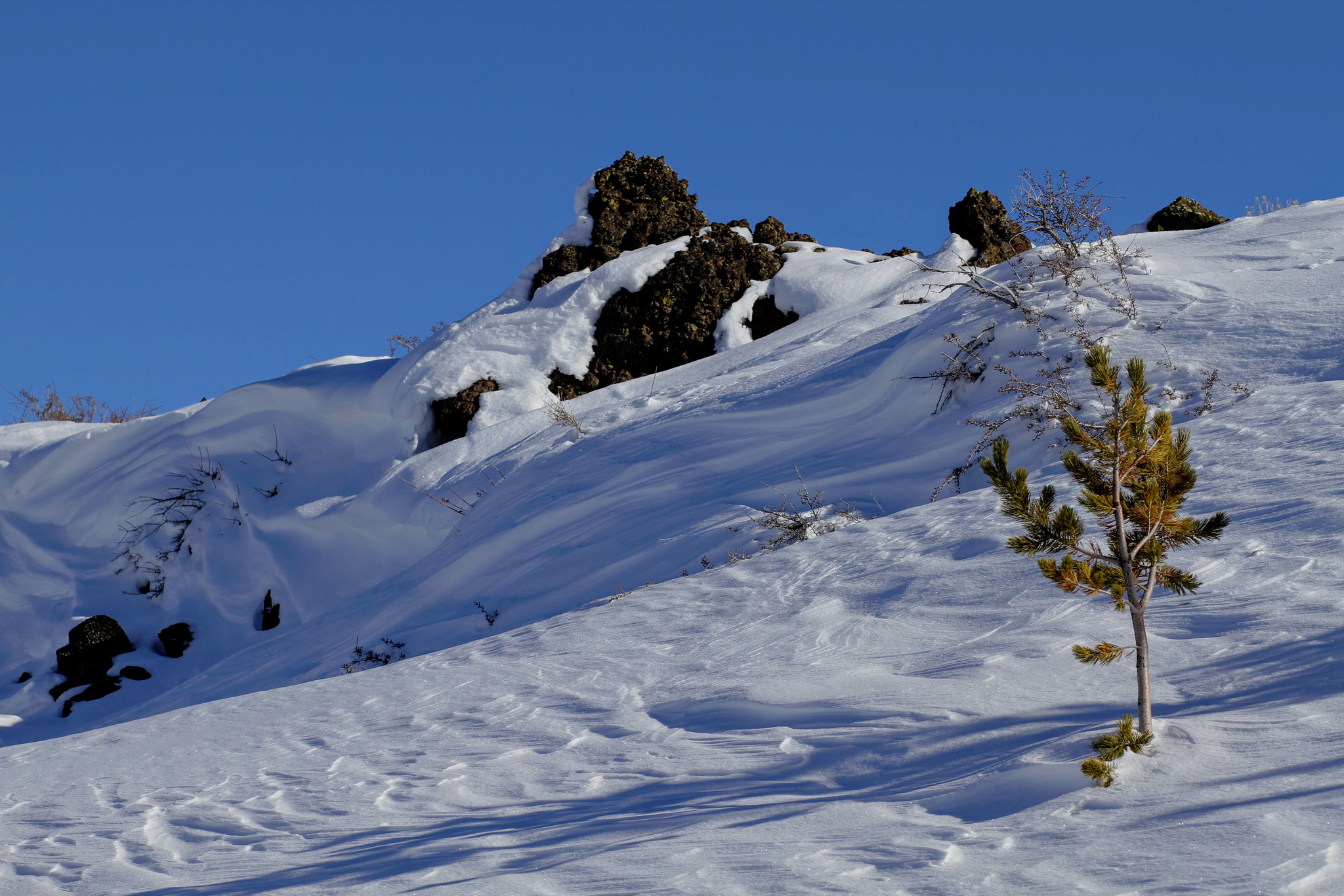 Canon EOS 7D + Canon EF 85mm F1.8 USM sample photo. Craters of the moon photo excursion photography