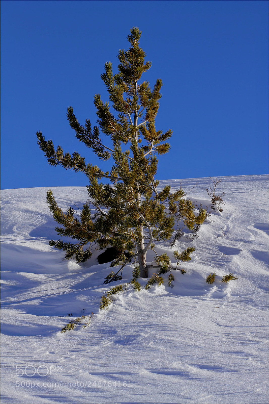 Canon EOS 7D sample photo. Craters of the moon photography