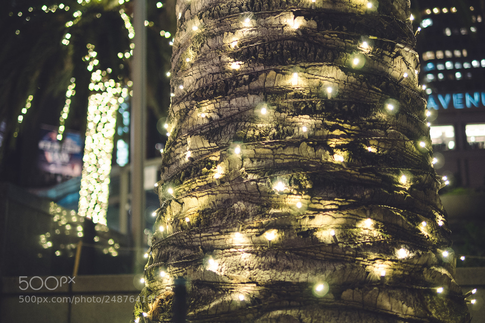 Panasonic Lumix DMC-GH4 sample photo. Old & older still. photography