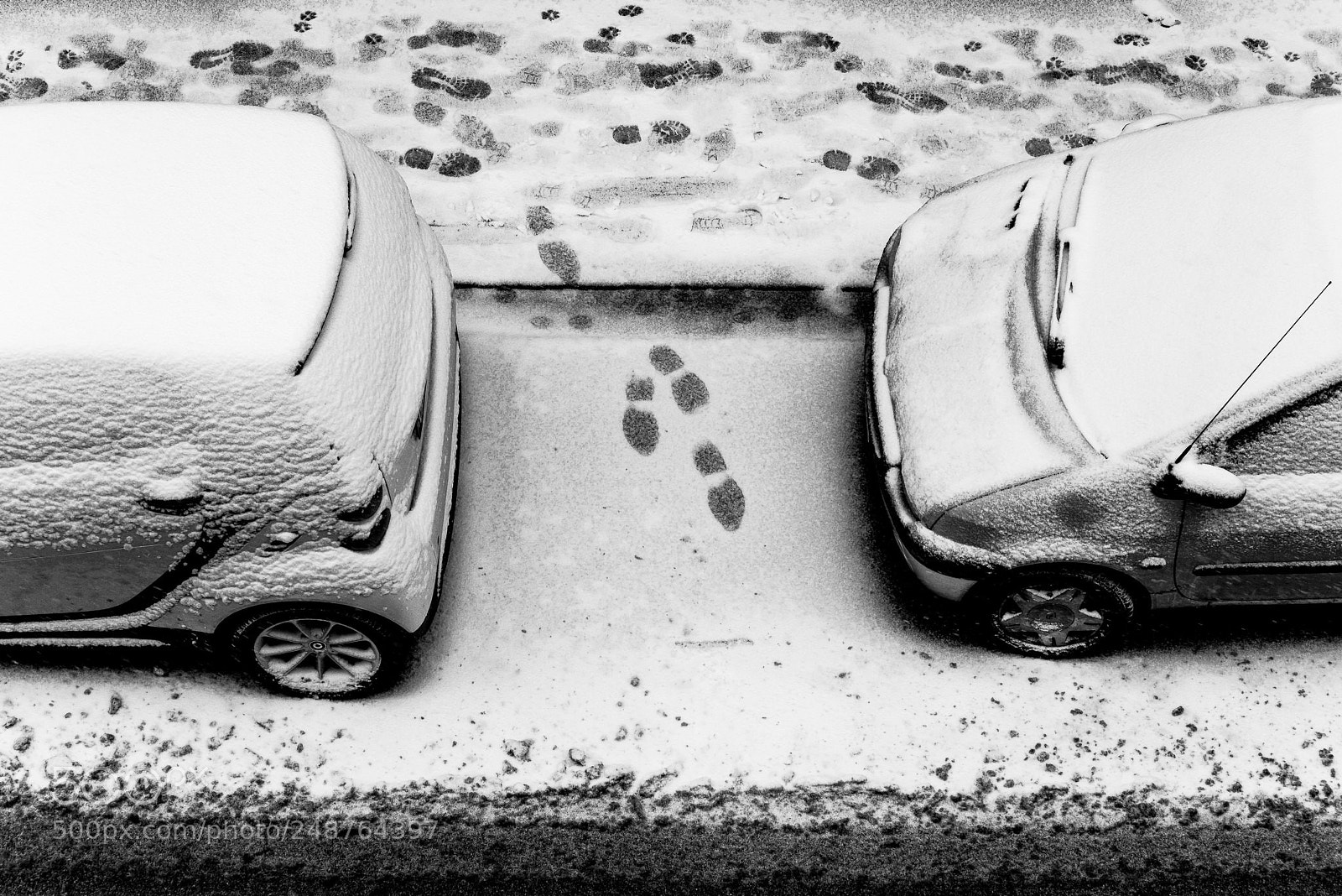 Nikon D810 sample photo. Vanishing act photography