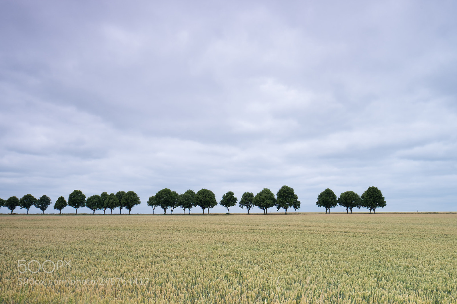 Fujifilm X-T1 sample photo. Dsf photography