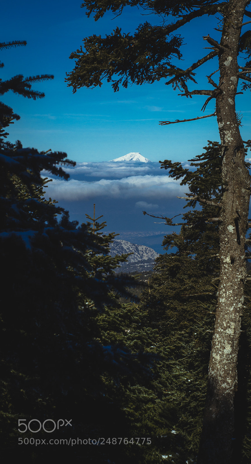 Canon EOS 1300D (EOS Rebel T6 / EOS Kiss X80) sample photo. A mountain from above photography