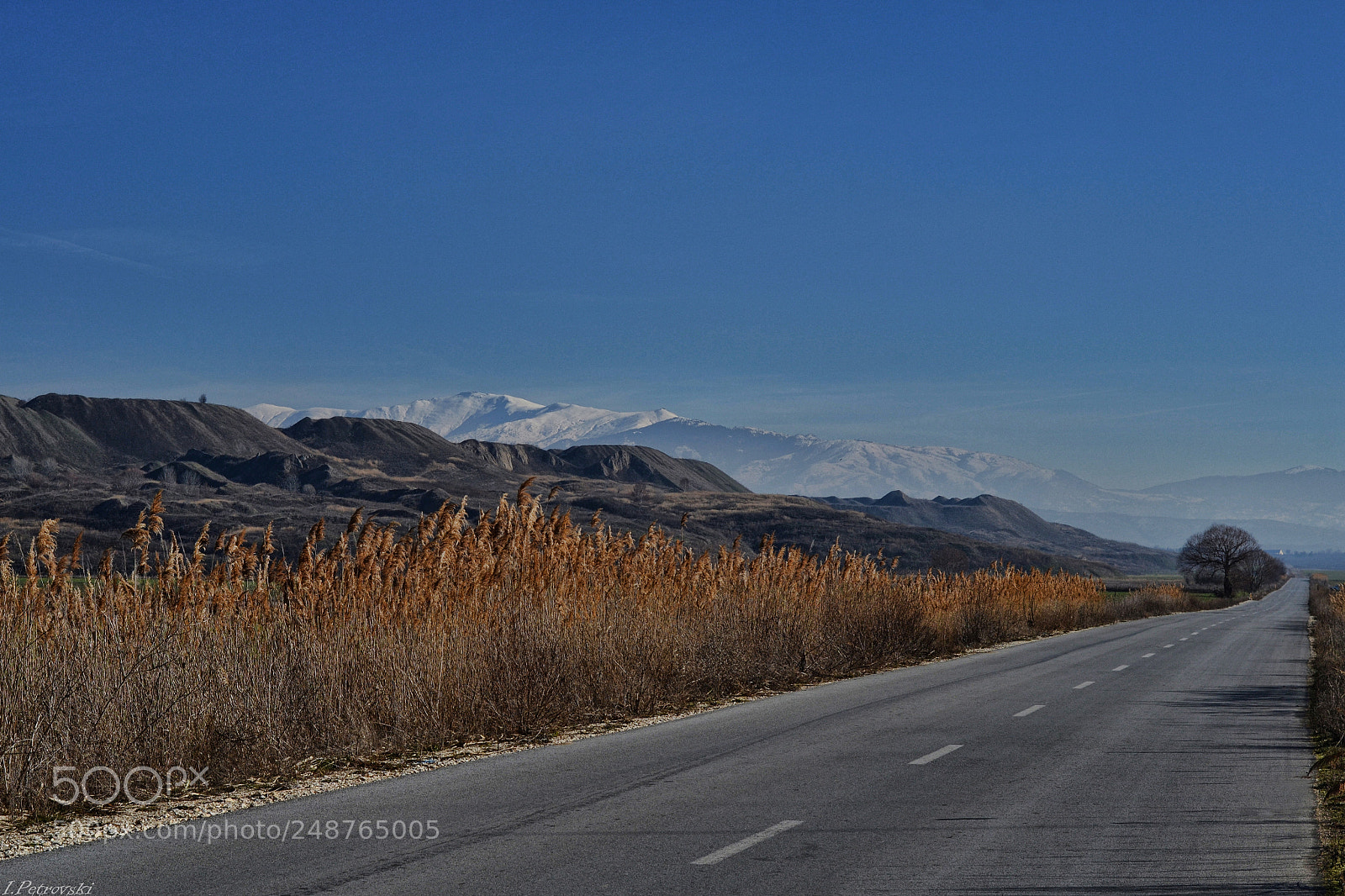 Nikon D3100 sample photo. Endlles road photography