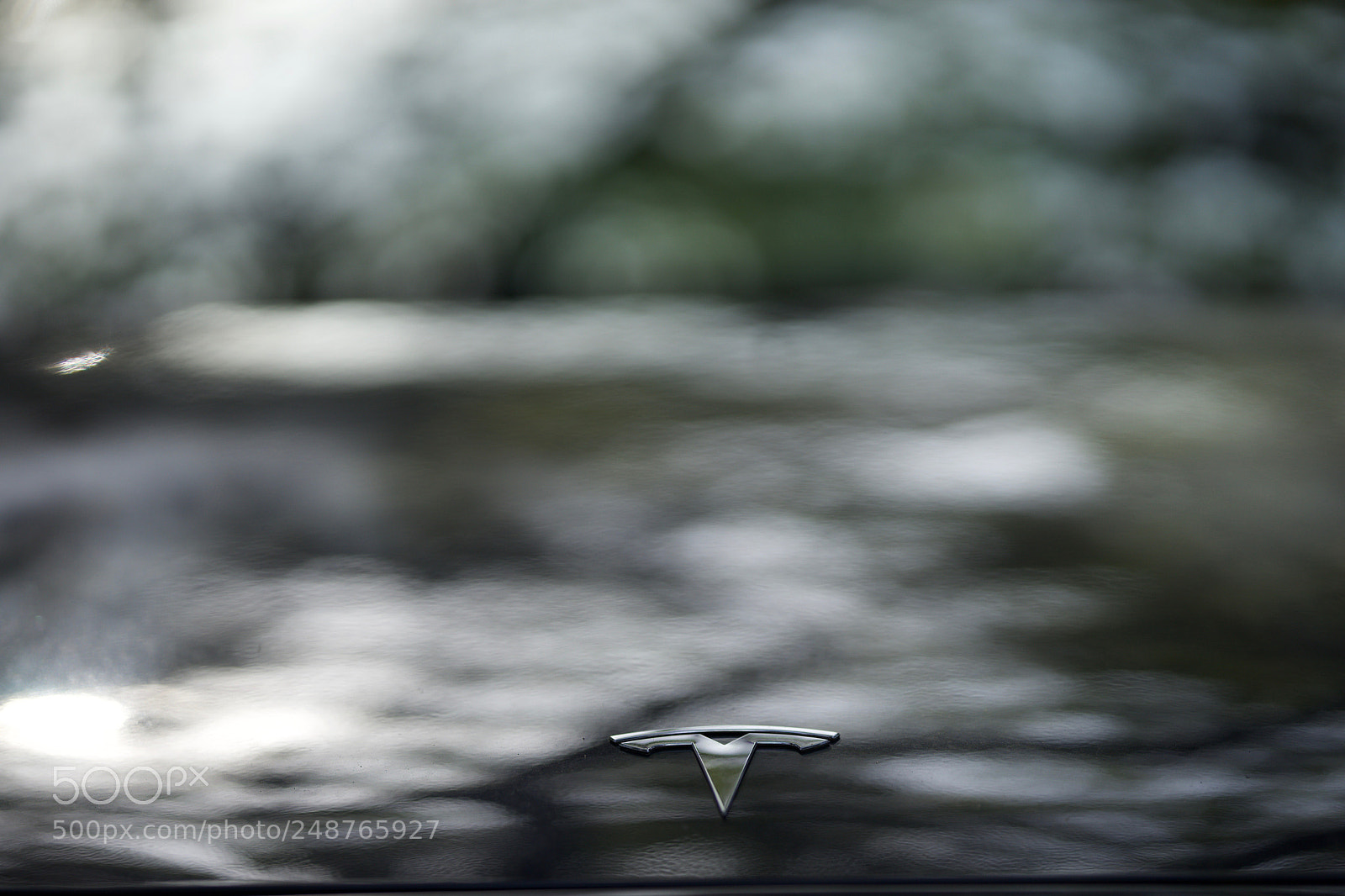 Sony a7 sample photo. Time to go green photography