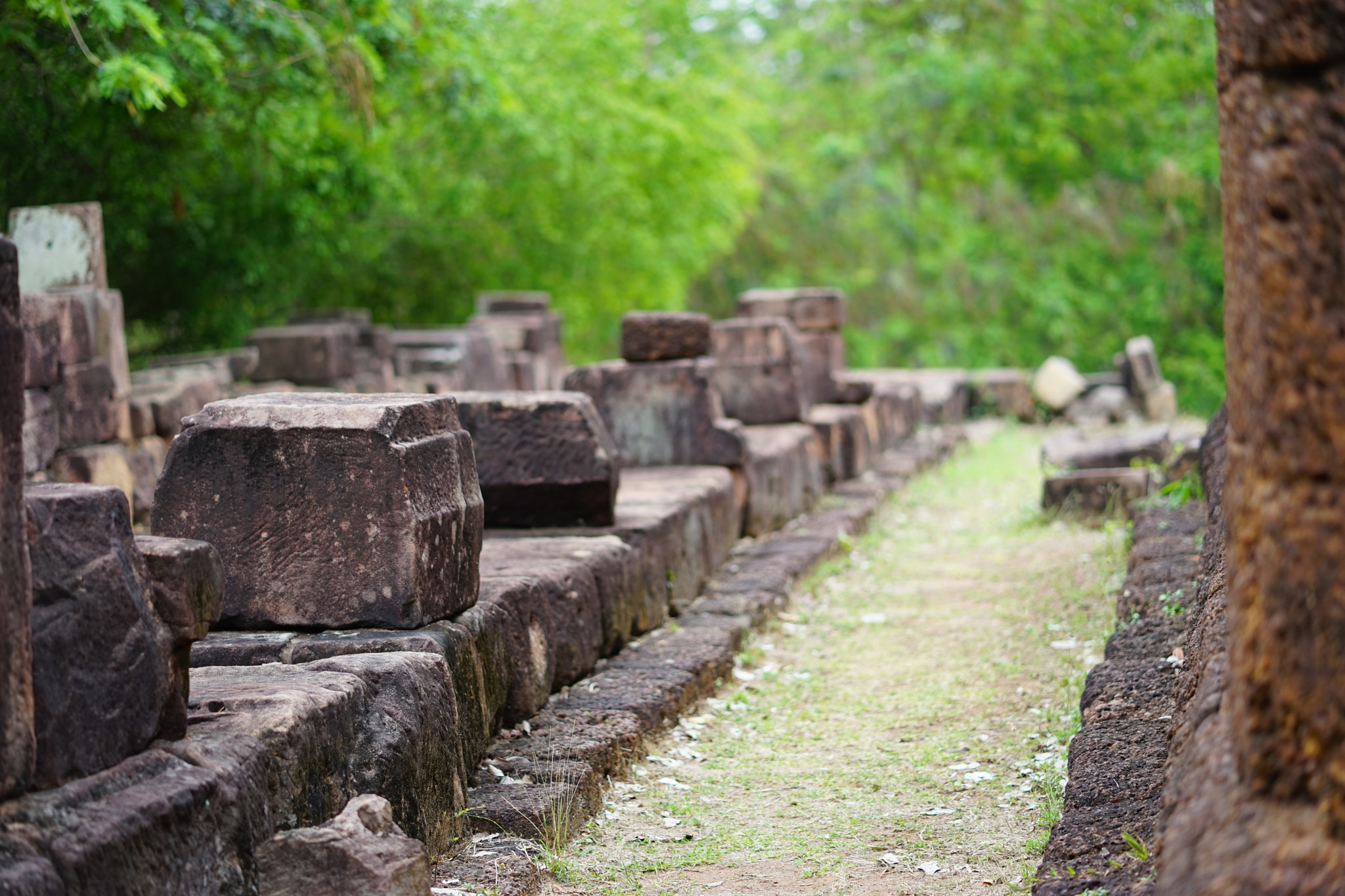 ZEISS Batis 85mm F1.8 sample photo