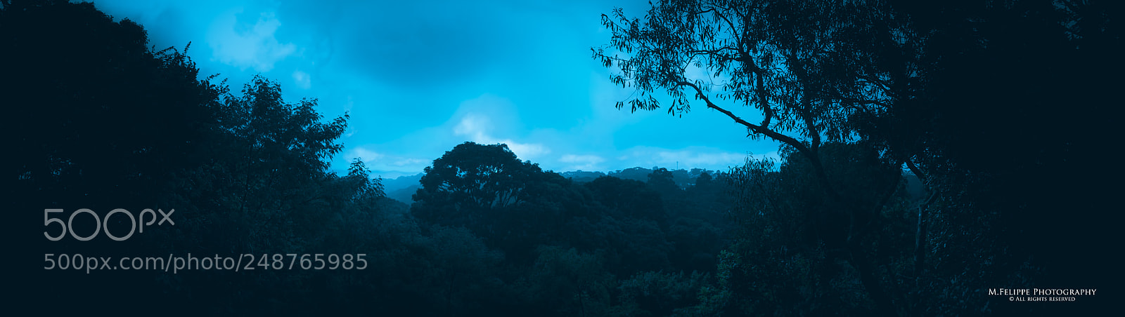 Sony a7S II sample photo. Early morning #2 photography