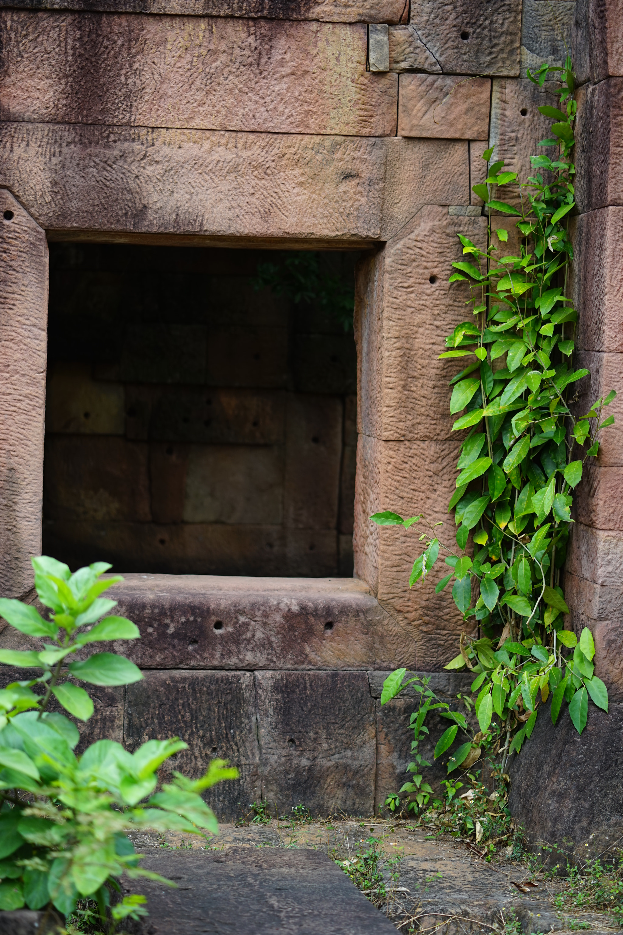 ZEISS Batis 85mm F1.8 sample photo