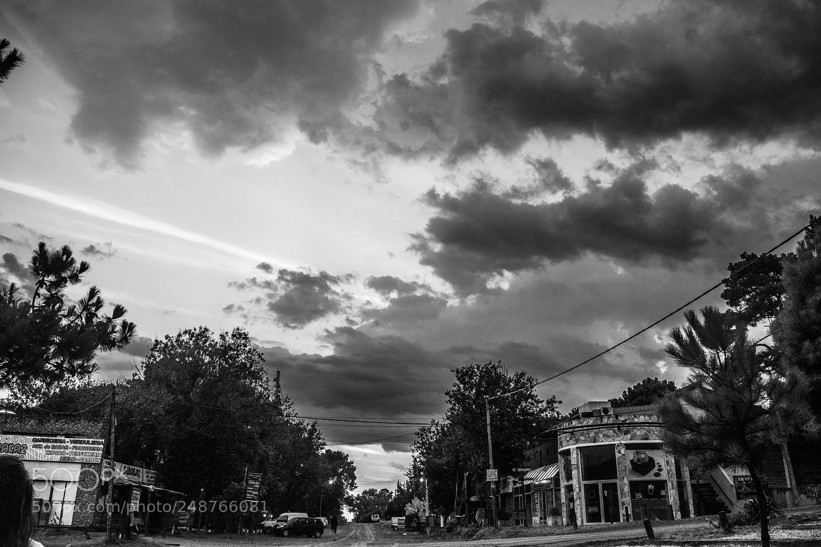 Nikon D5500 sample photo. Untitled photography