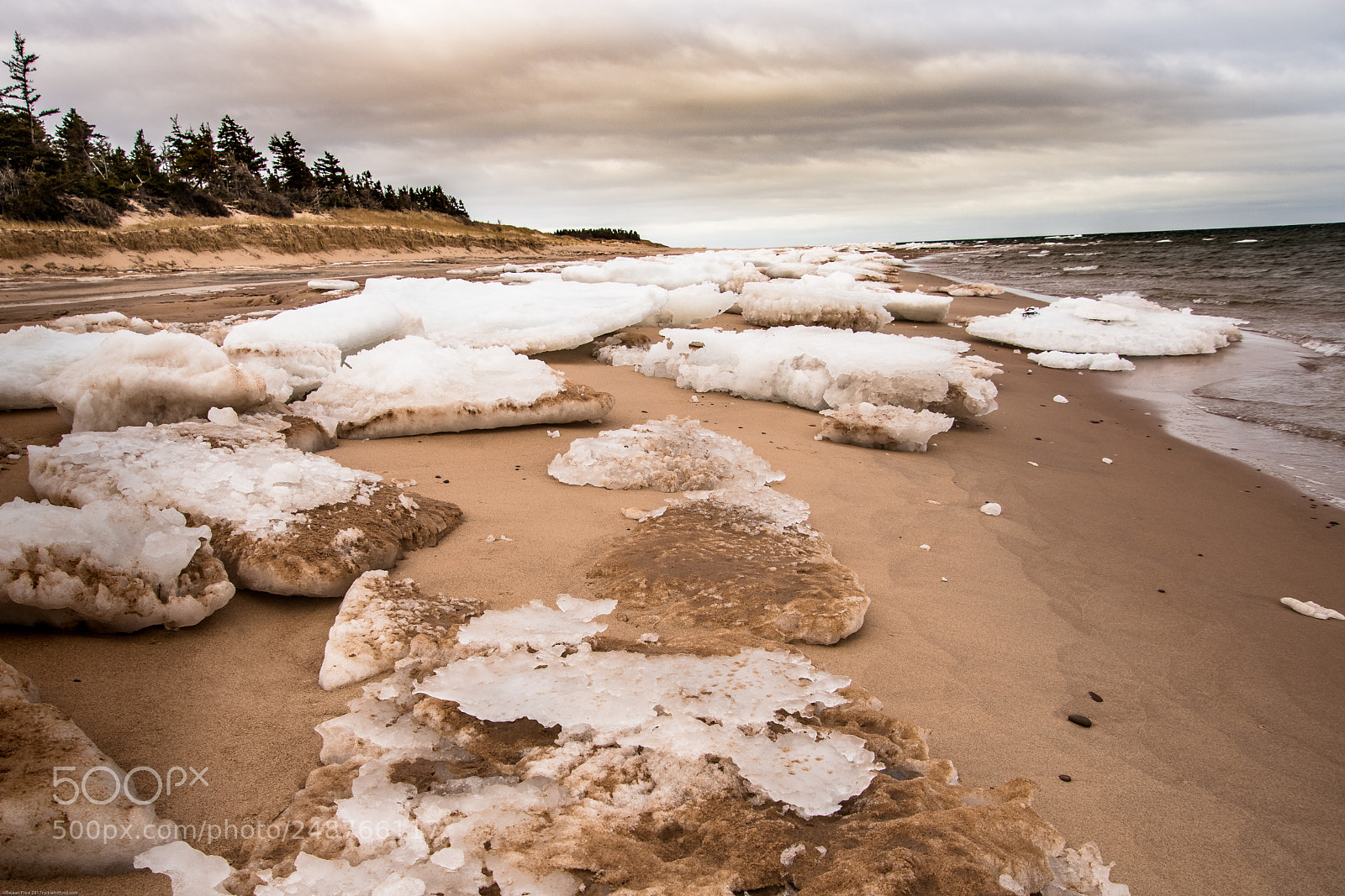 Nikon D7200 sample photo. Pei photography