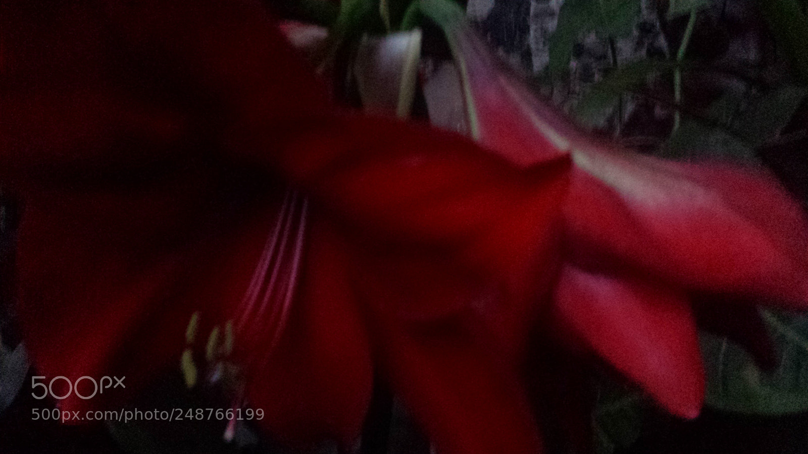 Samsung Galaxy S4 sample photo. Untitled photography